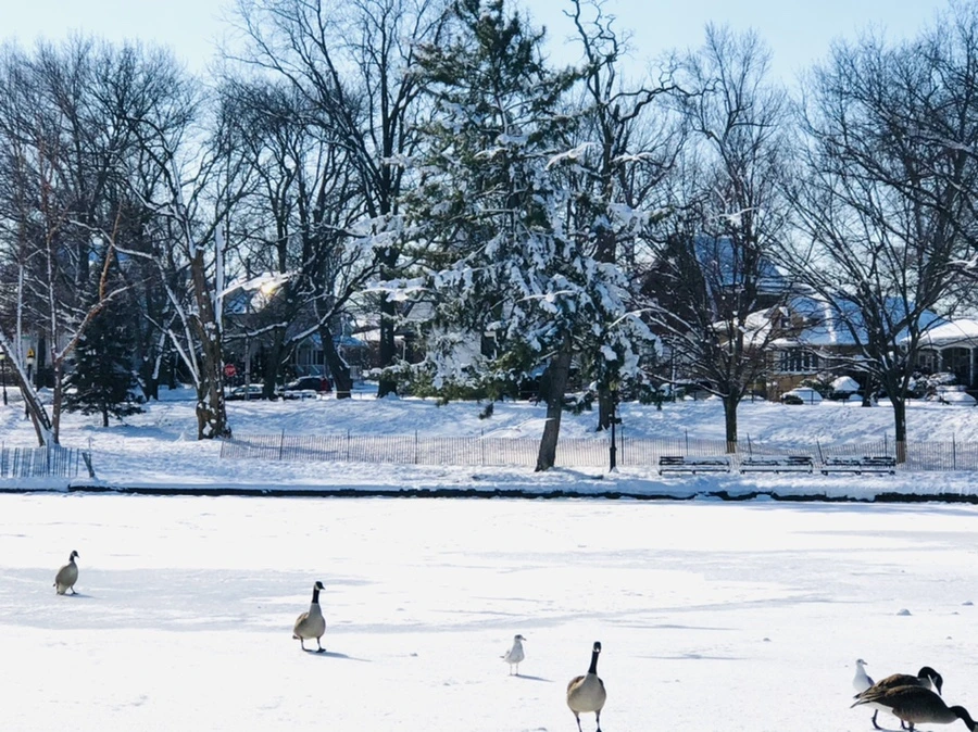 IMG_1327.jpg?type=w966