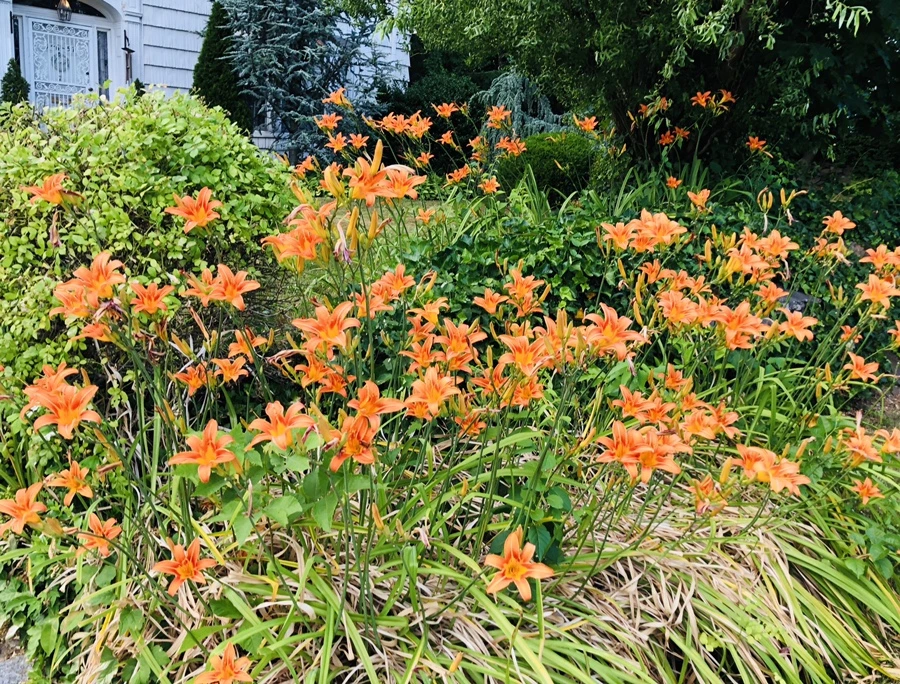 IMG_0384.jpg?type=w966