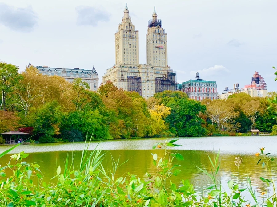 IMG_0182.jpg?type=w966