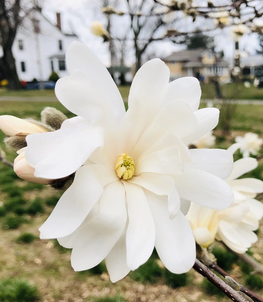 IMG_6516.jpg?type=w966