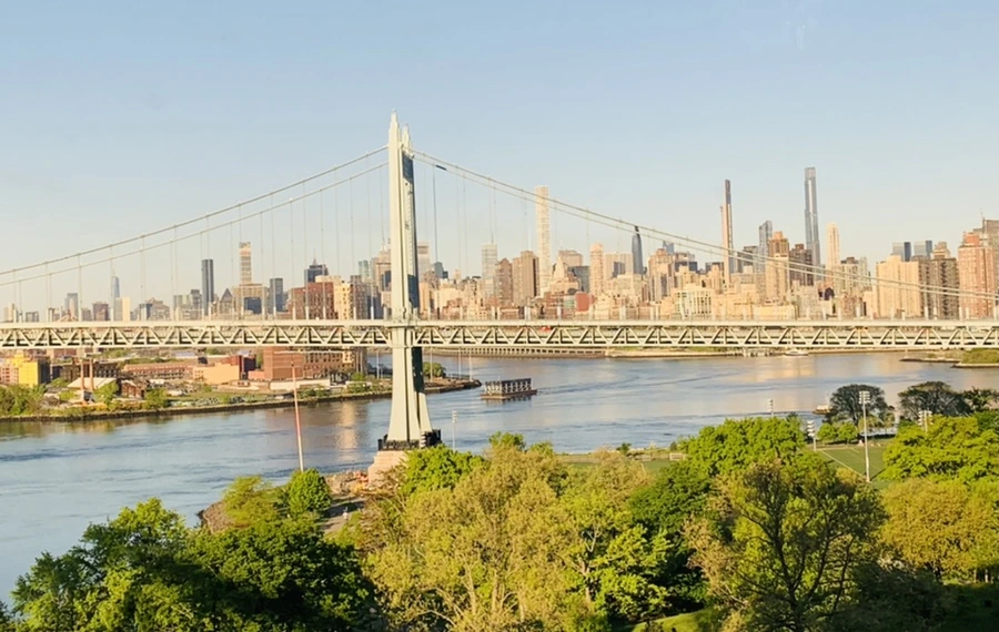 IMG_2255.jpg?type=w966