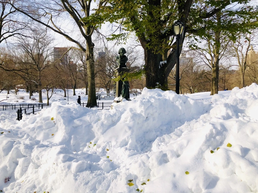 IMG_7067.jpg?type=w966