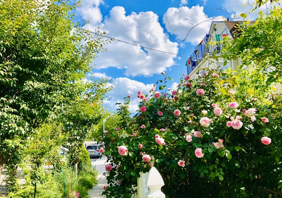 IMG_7640.jpg?type=w966