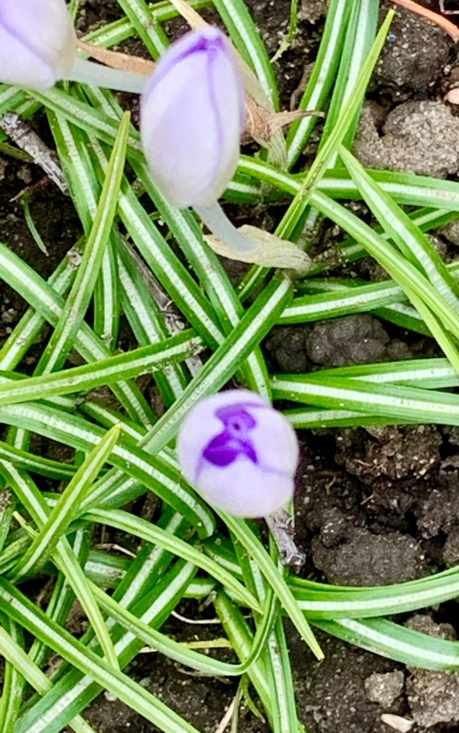 cDO2ICqZSjmWy8SOXGL-NL9u-qQ