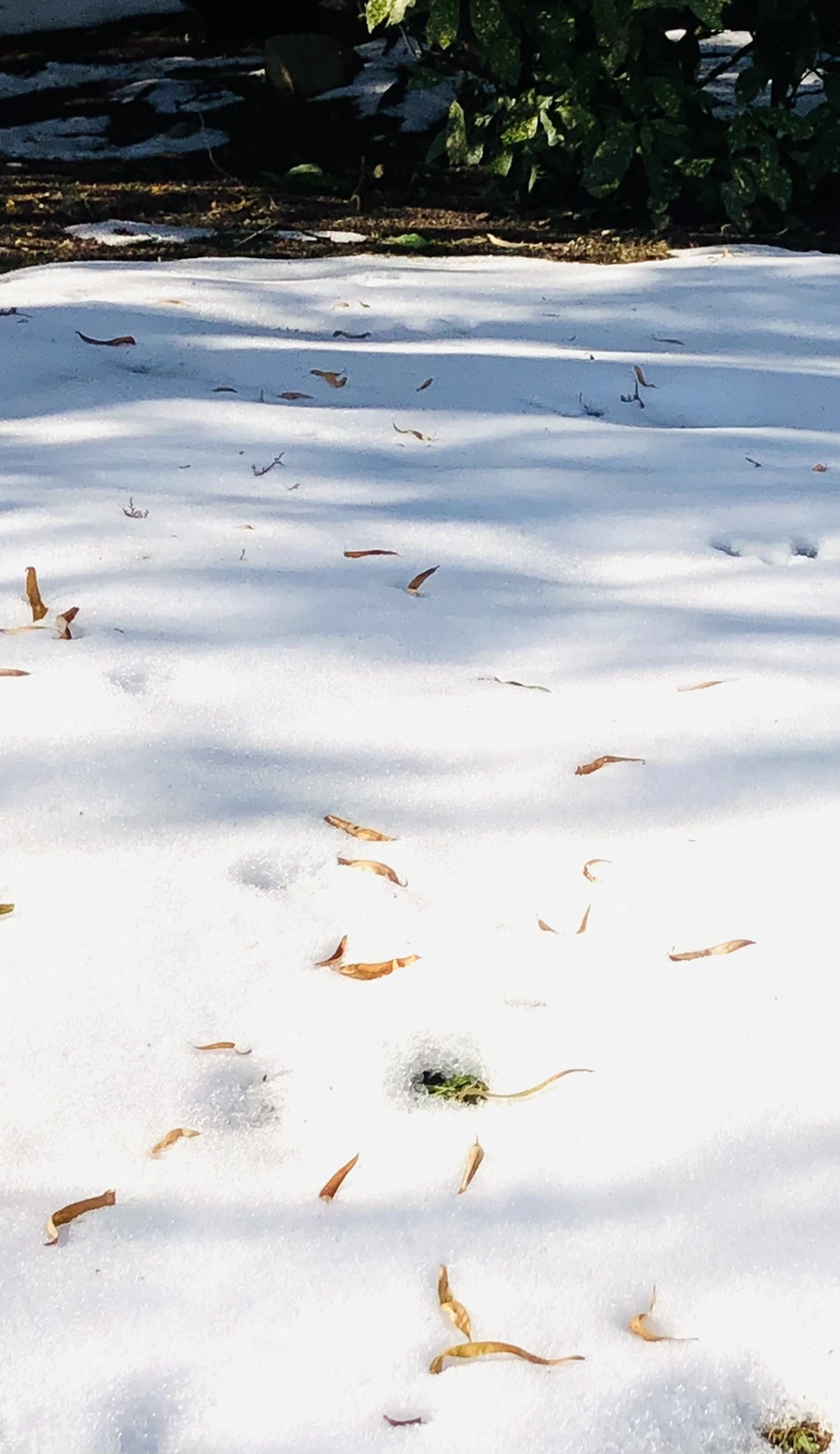 IMG_7760.jpg?type=w966