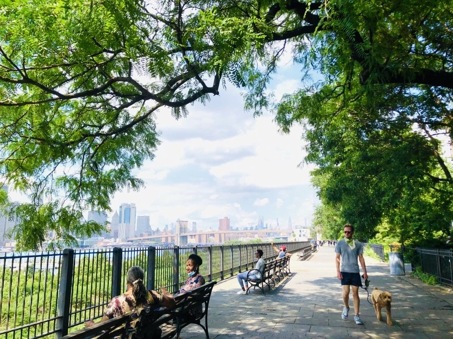 NlU5toQbBug768q40Ojg7LHDRuA