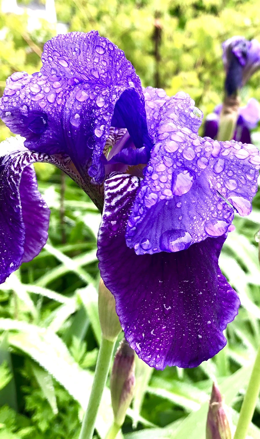 IMG_3924.jpg?type=w966