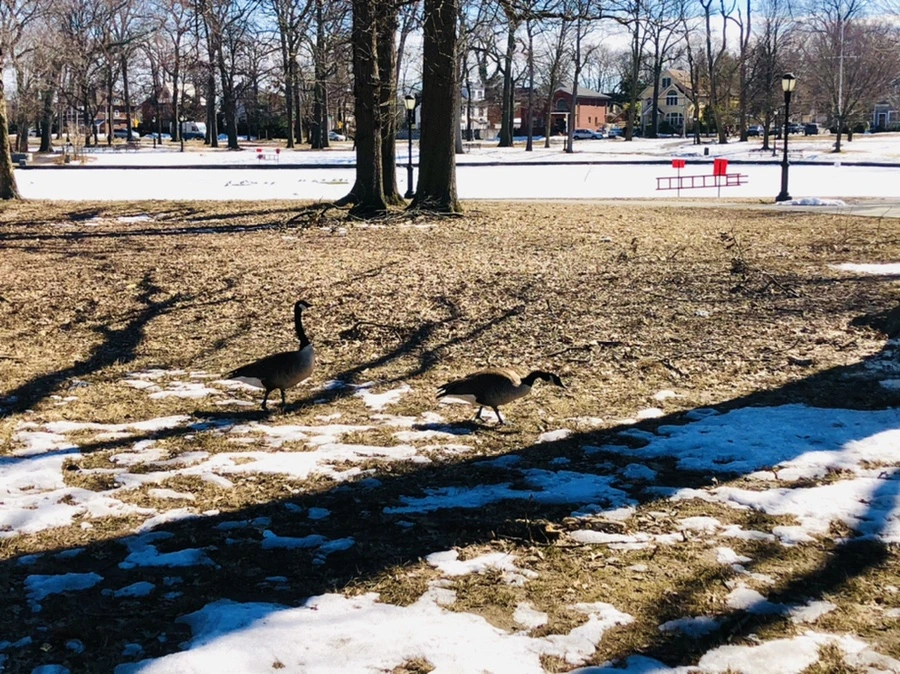 IMG_5019.jpg?type=w966