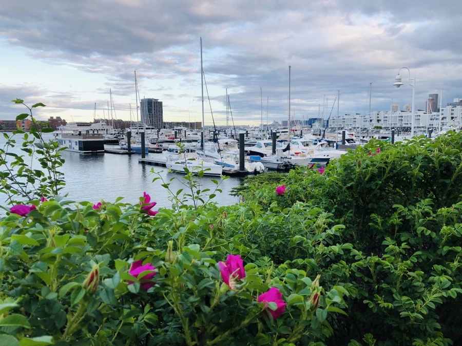 IMG_4959.jpg?type=w966