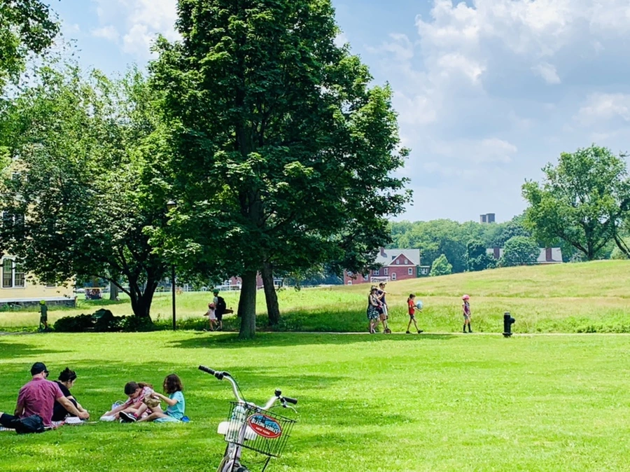 IMG_5140.jpg?type=w966