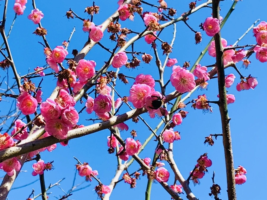 IMG_7814.jpg?type=w966