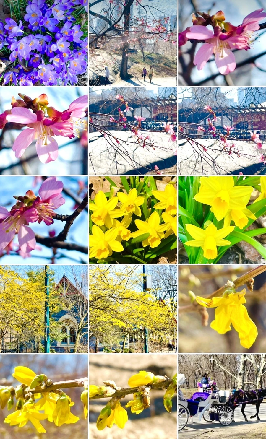 IMG_5650.jpg?type=w966