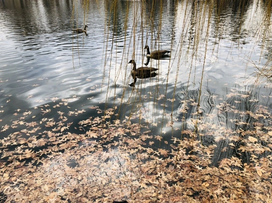 JxJnrl6Vzw4cxEOGfjHjij7-_dQ