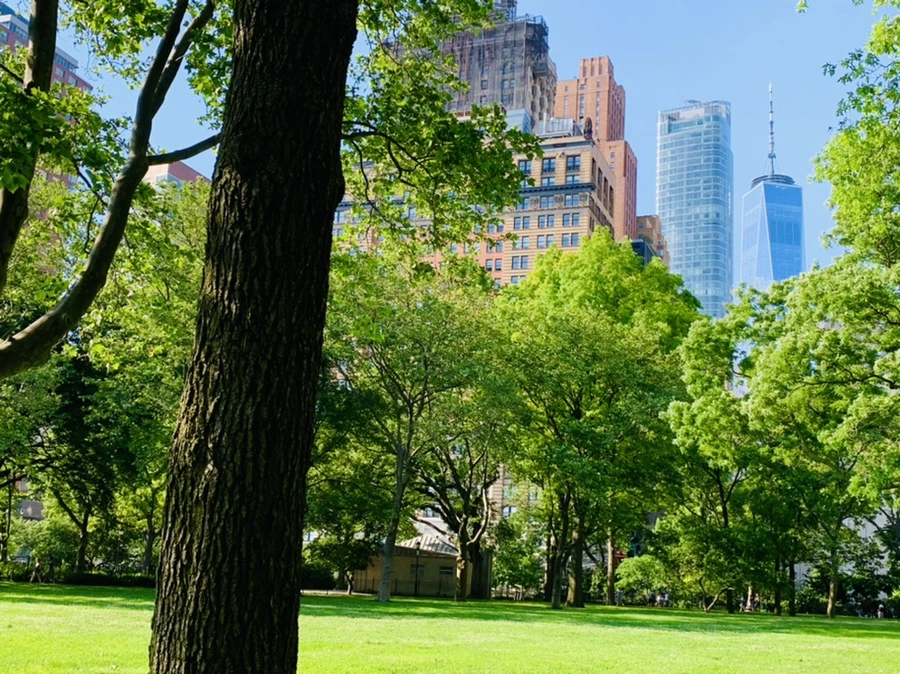 IMG_1160.jpg?type=w966