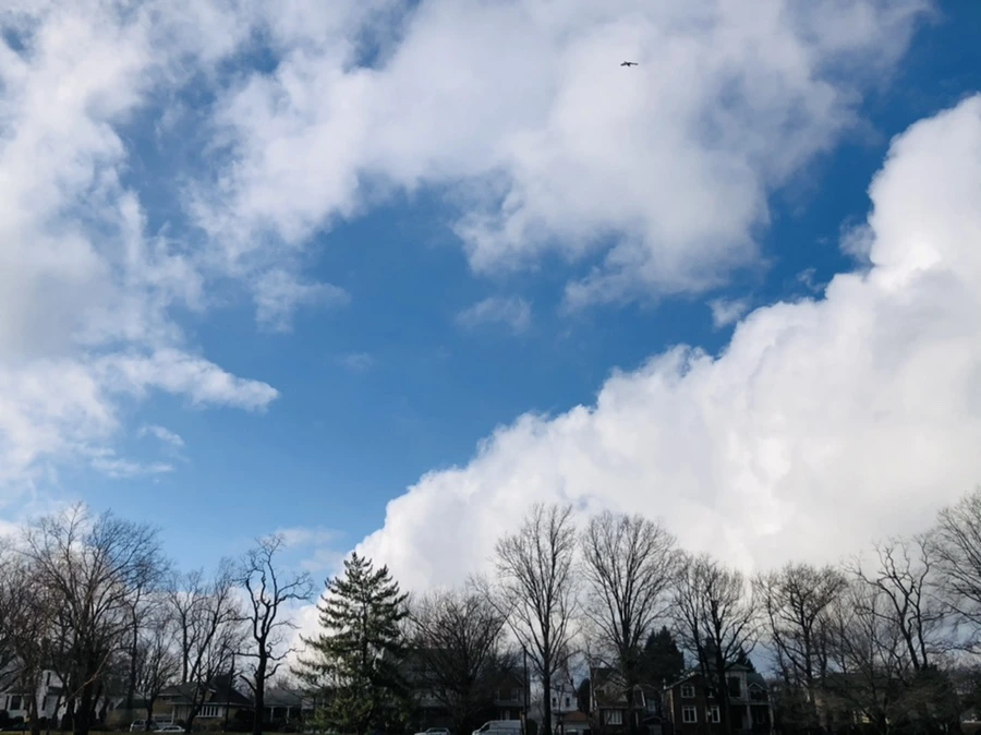 IMG_3517.jpg?type=w966