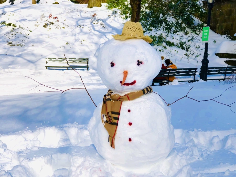 IMG_7036.jpg?type=w966