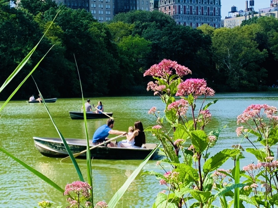 IMG_4463.jpg?type=w966