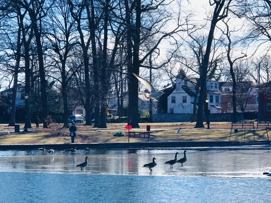 IMG_5330.jpg?type=w966