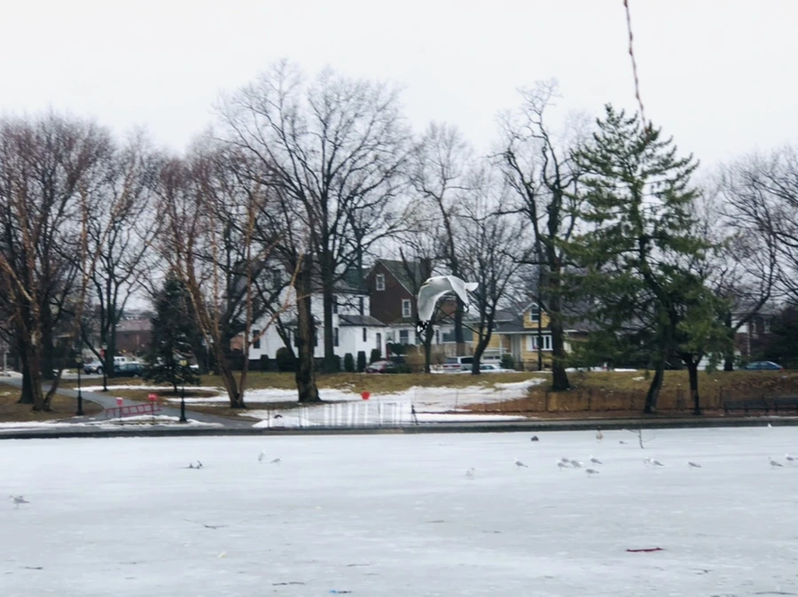 IMG_5669.jpg?type=w966