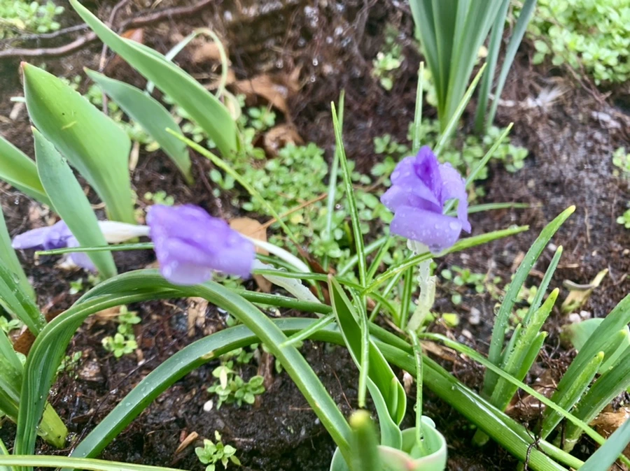 IMG_2149.jpg?type=w966