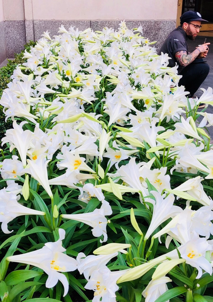 IMG_4365.jpg?type=w966