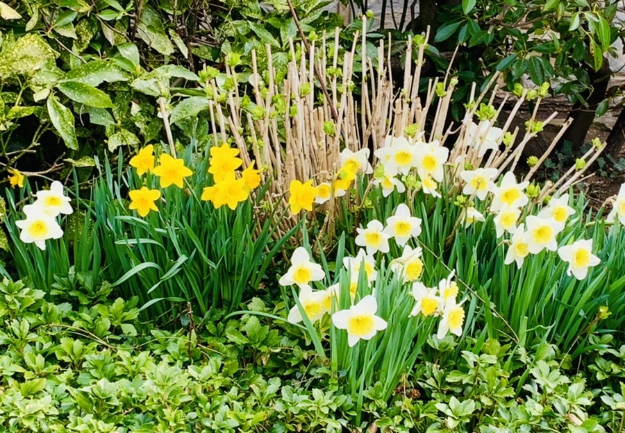 IMG_5886.jpg?type=w966