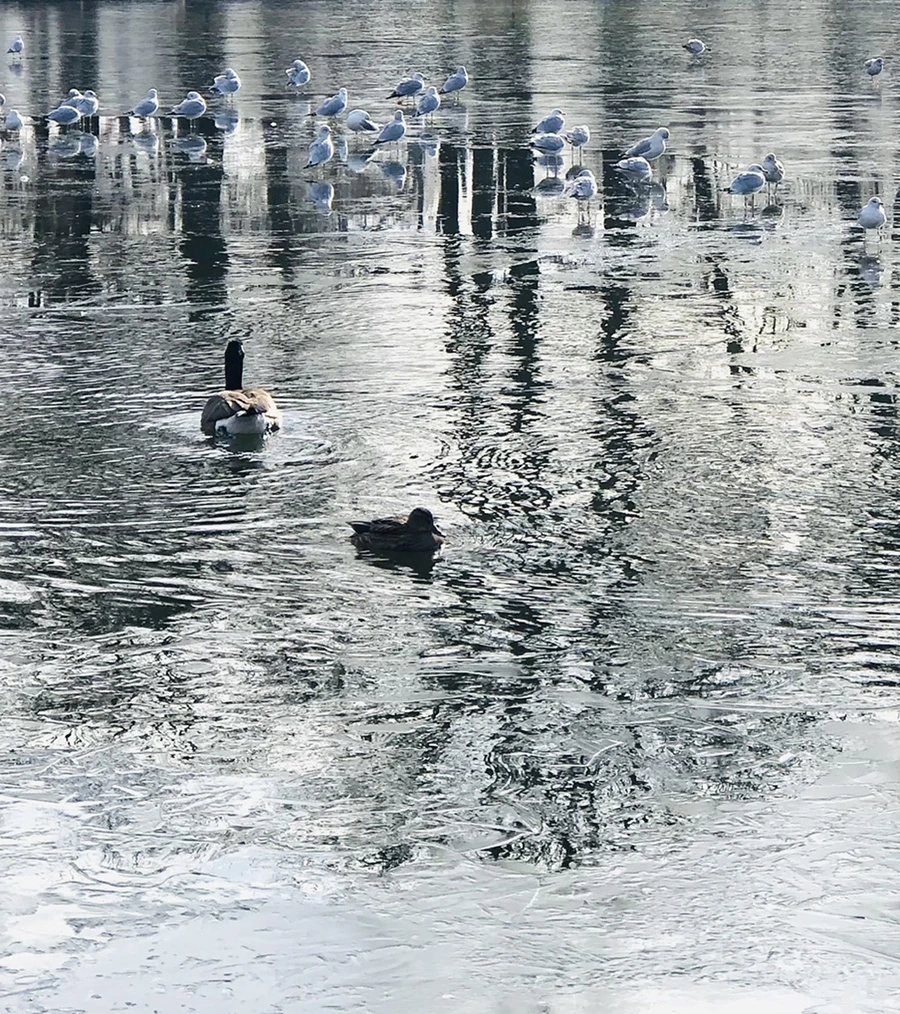 IMG_8463.jpg?type=w966