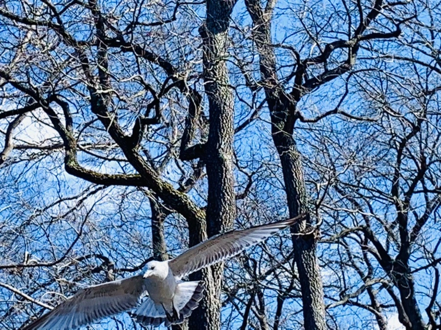 IMG_8304.jpg?type=w966