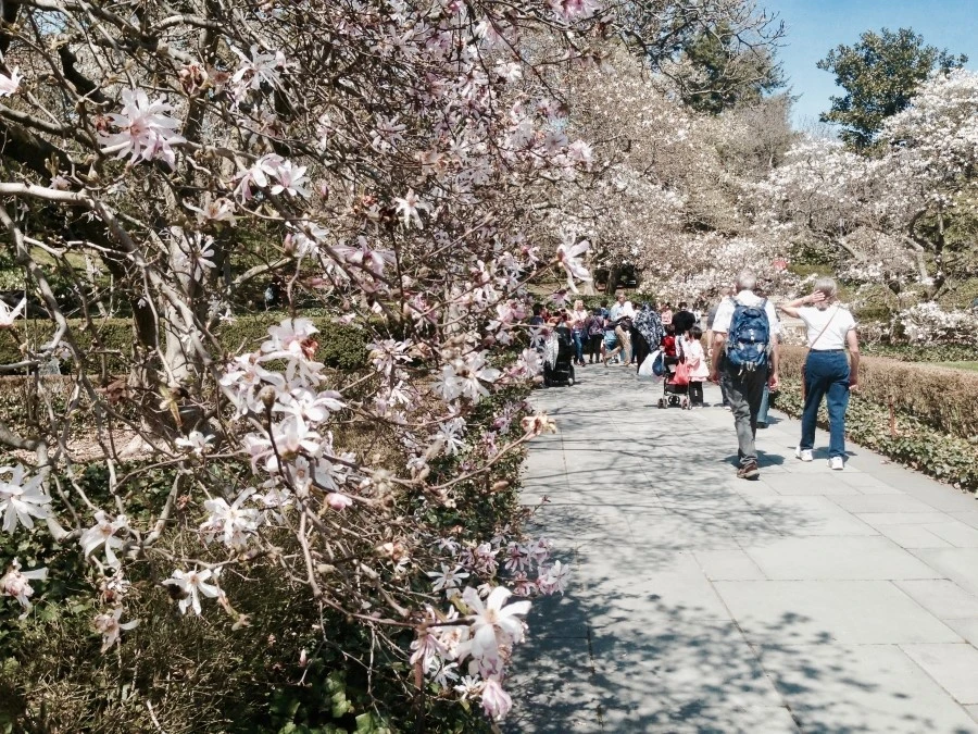 IMG_8575.jpg?type=w1