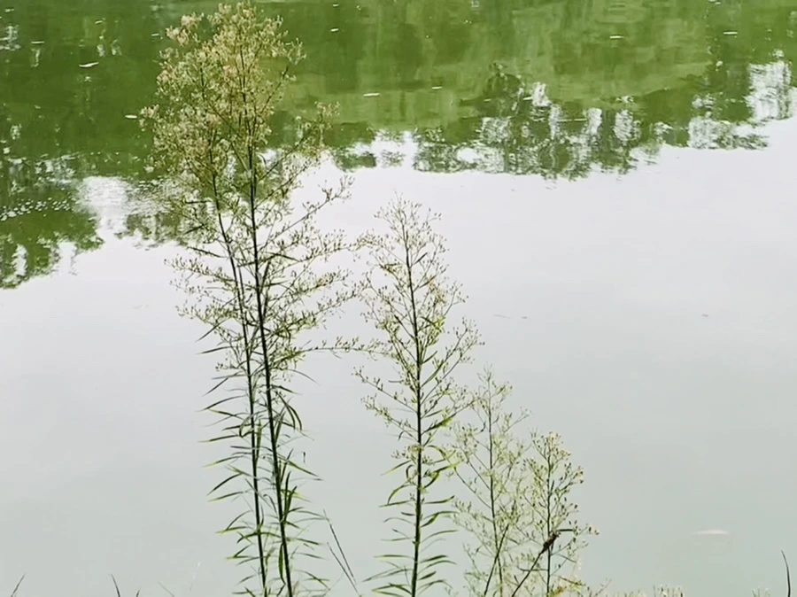 IMG_6021.jpg?type=w966