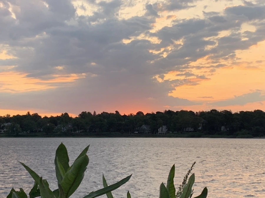 IMG_1687.jpg?type=w966