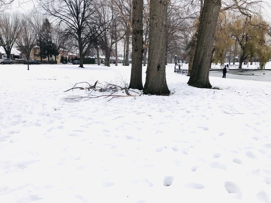 IMG_7557.jpg?type=w966