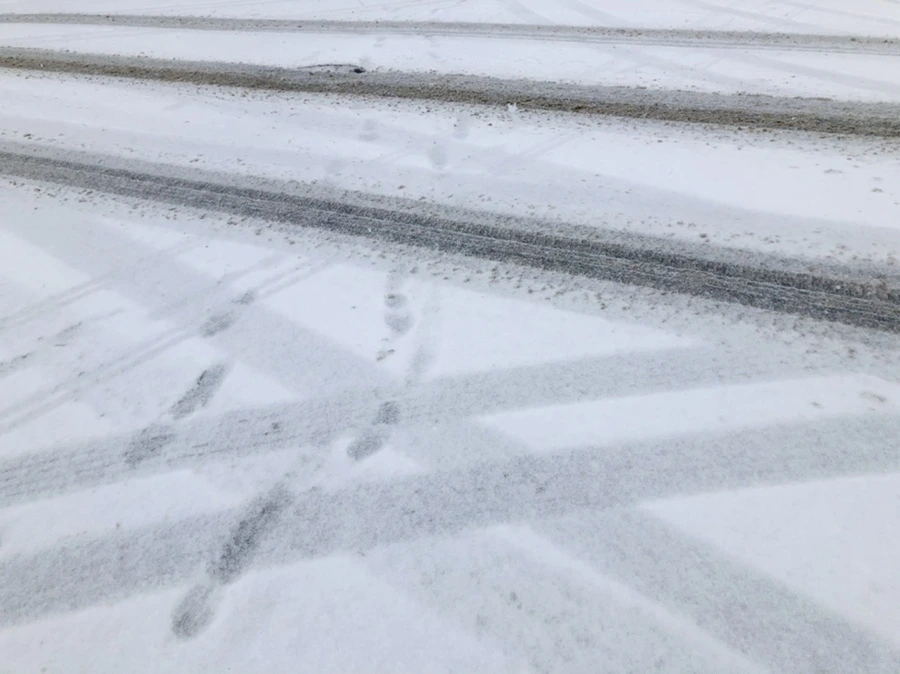 IMG_3315.jpg?type=w966