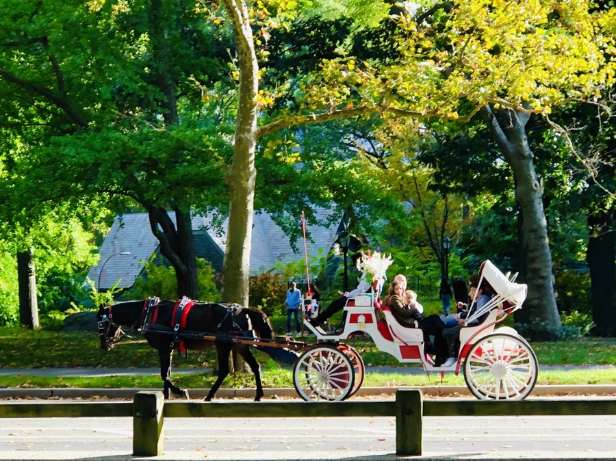 IMG_2135.jpg?type=w966