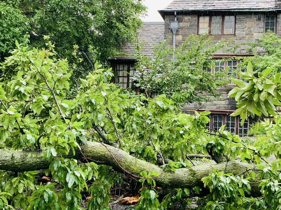 IMG_0259.jpg?type=w966