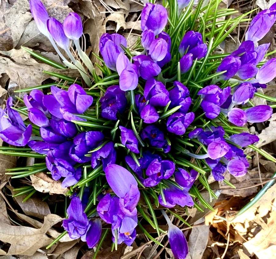 IMG_1509.jpg?type=w966