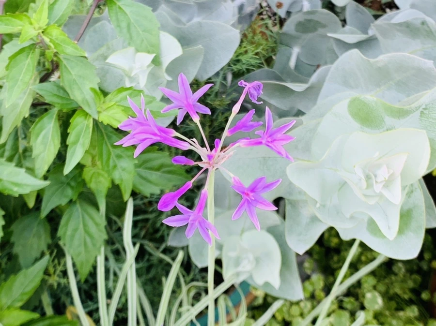 IMG_9464.jpg?type=w966