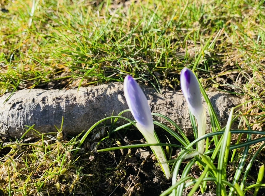 IMG_7489.jpg?type=w966