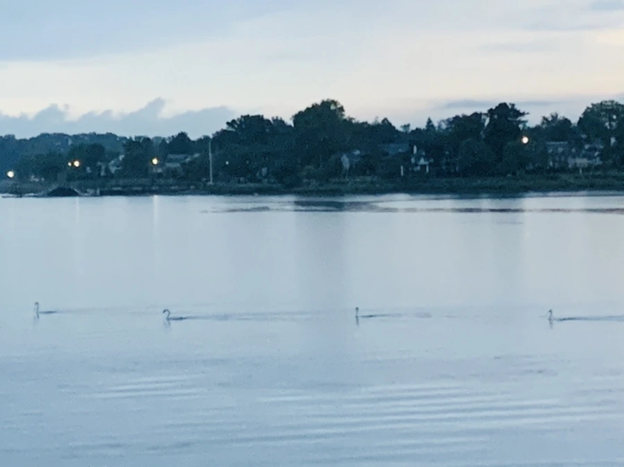 IMG_9238.jpg?type=w966