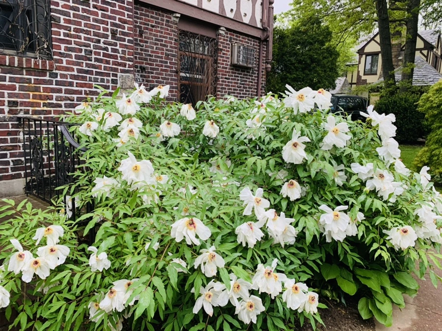 IMG_9664.jpg?type=w966