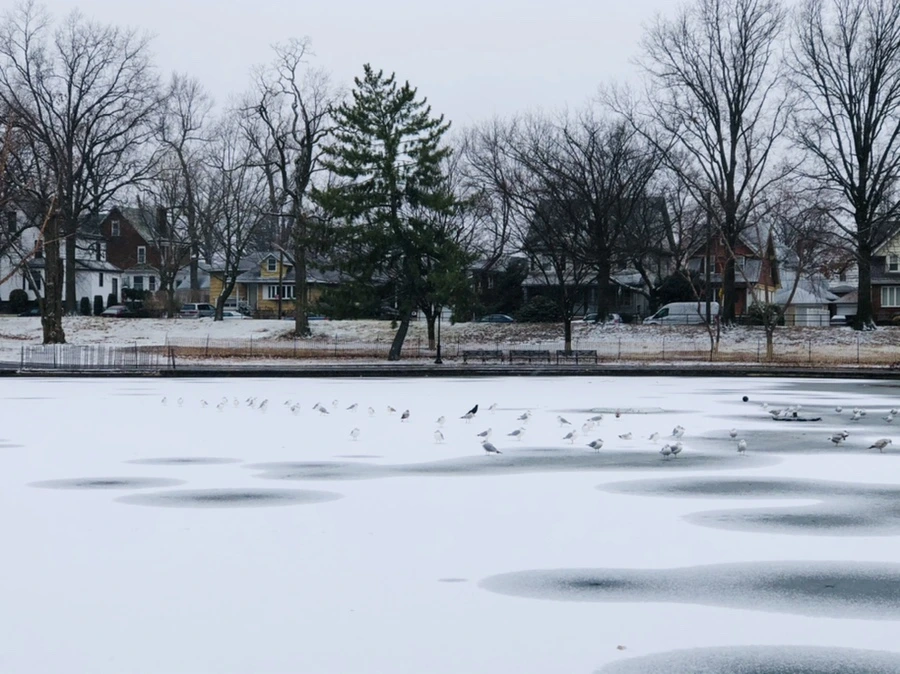 IMG_6186.jpg?type=w966