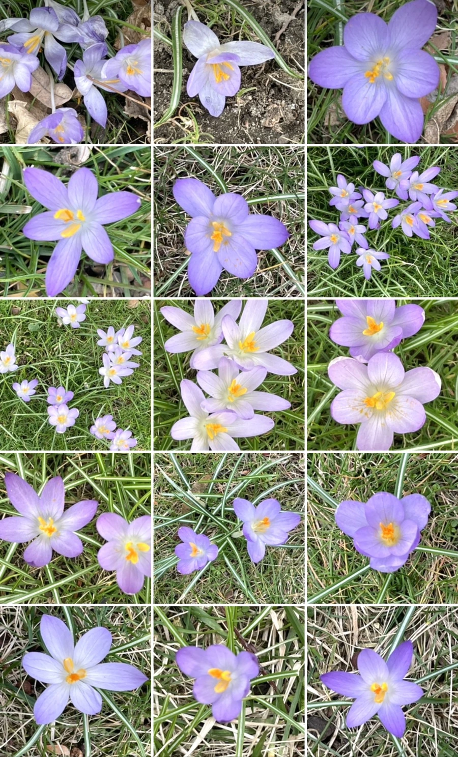 IMG_4143.jpg?type=w966