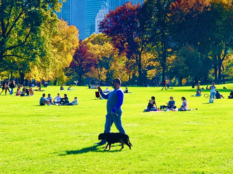 IMG_3816.jpg?type=w966