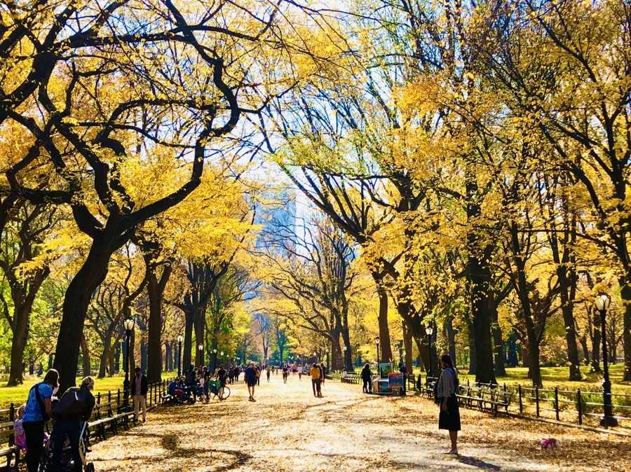 IMG_4290.jpg?type=w966