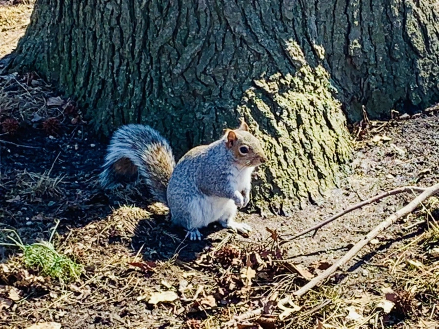 IMG_6944.jpg?type=w966