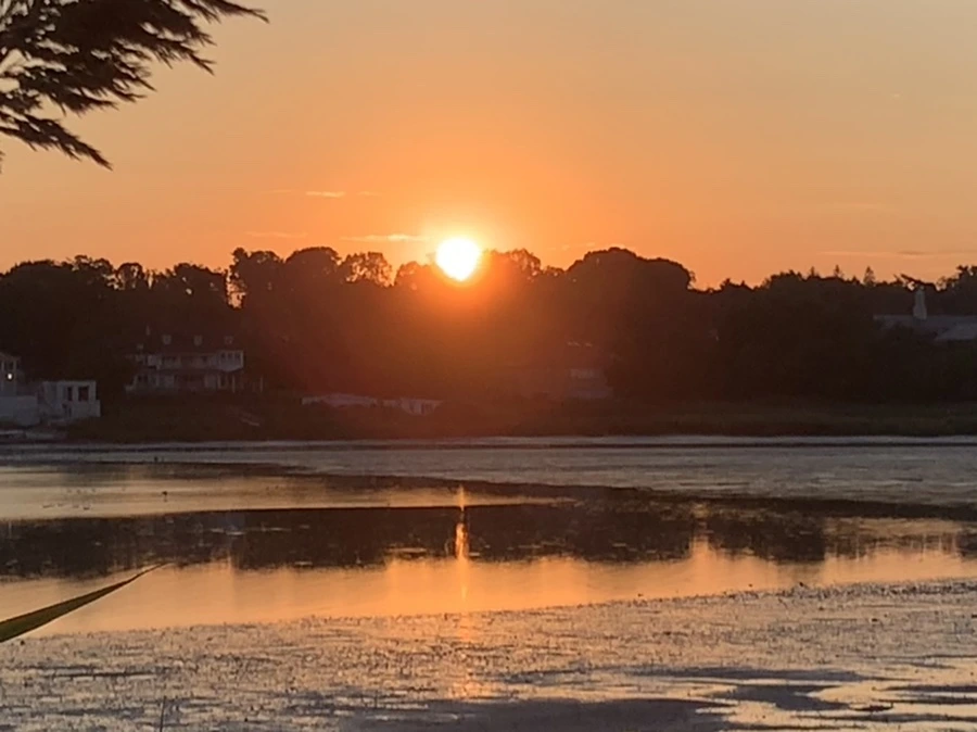 IMG_8881.jpg?type=w966