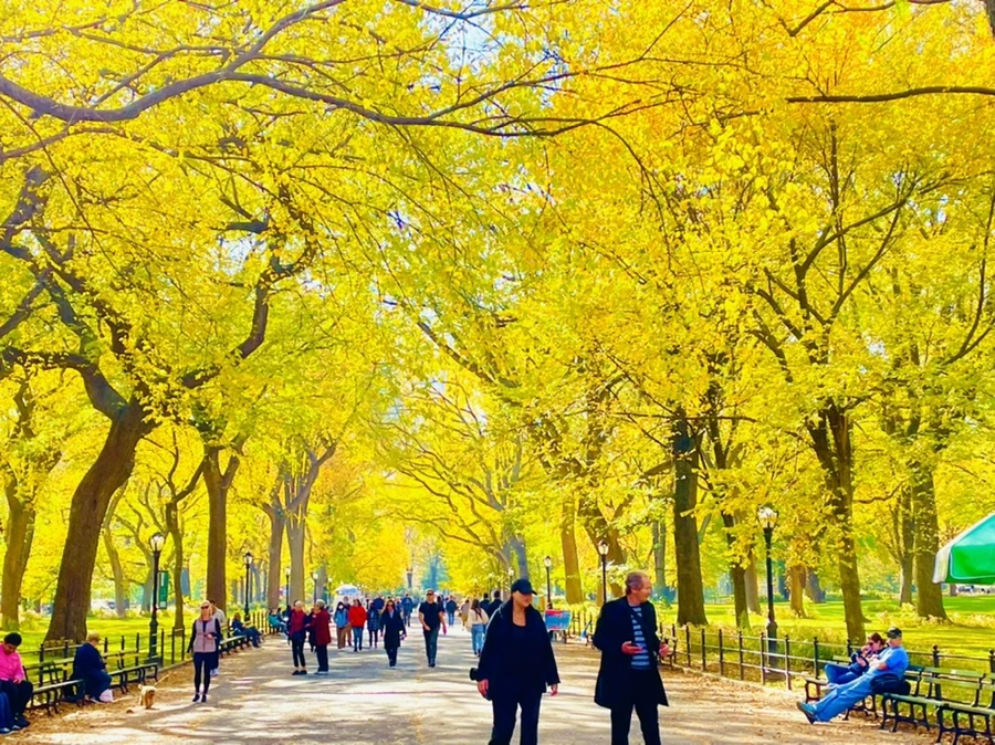 IMG_1581.jpg?type=w966