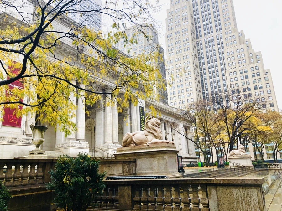 IMG_4600.jpg?type=w966