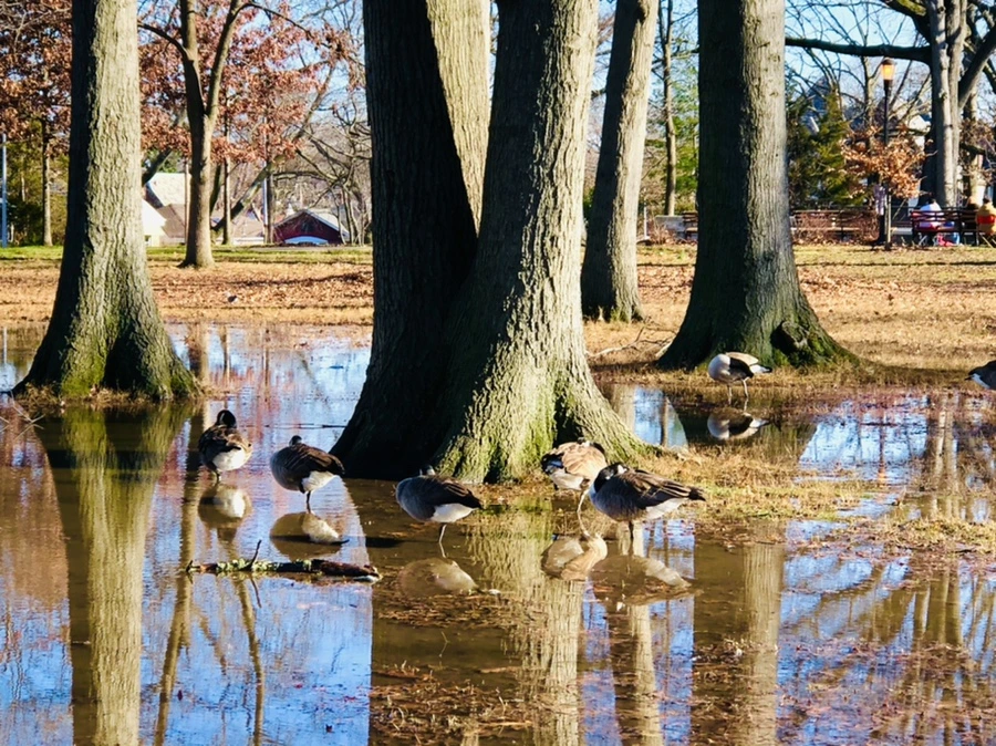 IMG_9703.jpg?type=w966