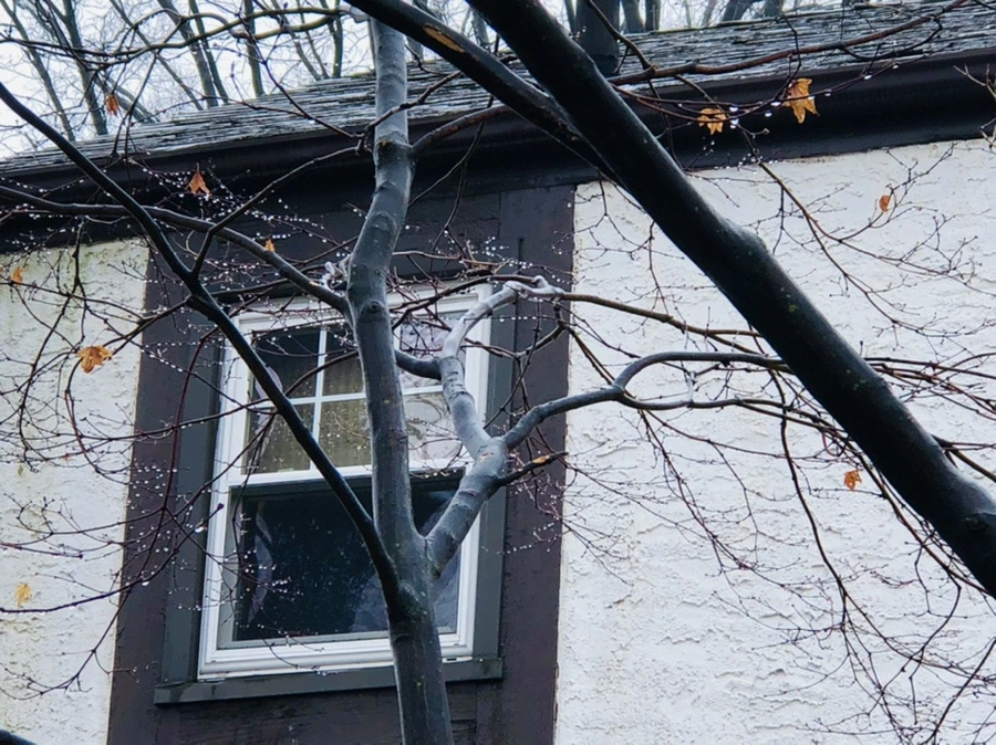 IMG_5786.jpg?type=w966